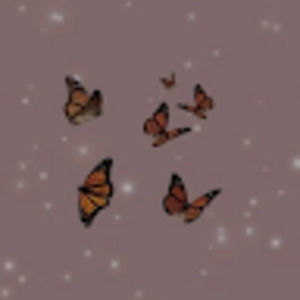 Meet your Posher, Brooklyn